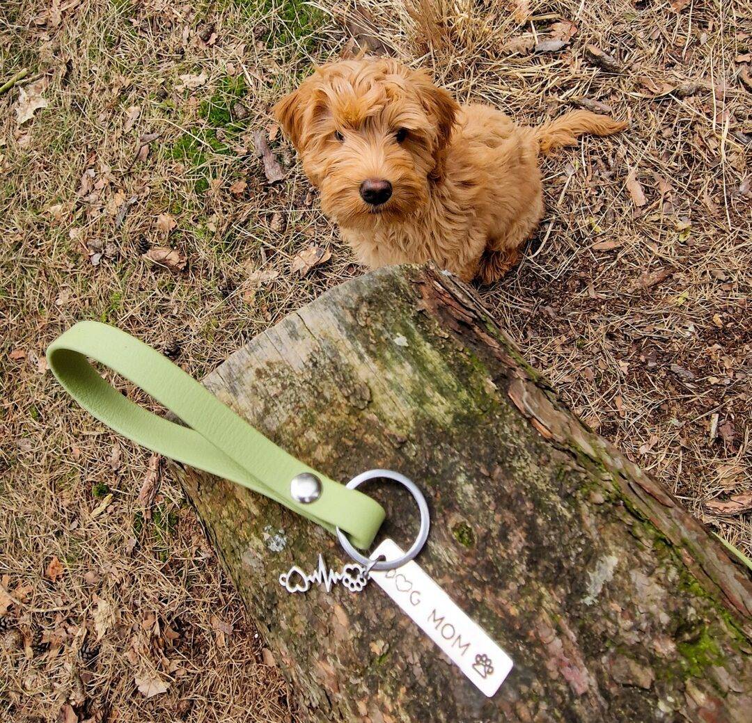 Millie’s Pawfect Key’s