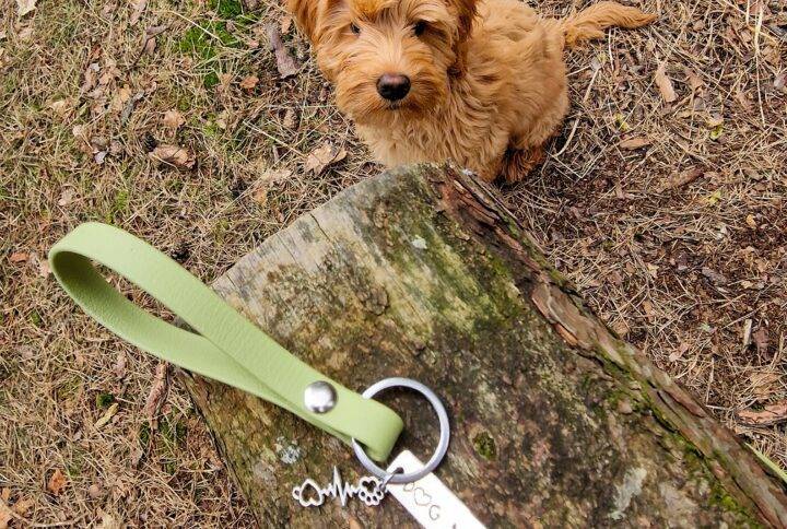 Millie's Pawfect Key's