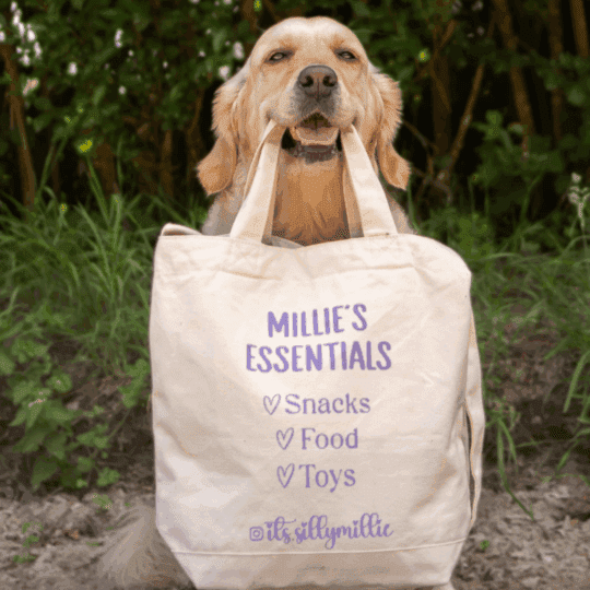 Millie's Ultimate Gear Bag