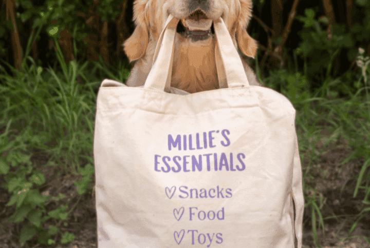 Millie's Ultimate Gear Bag