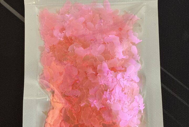 Rondje met 1 roze veer