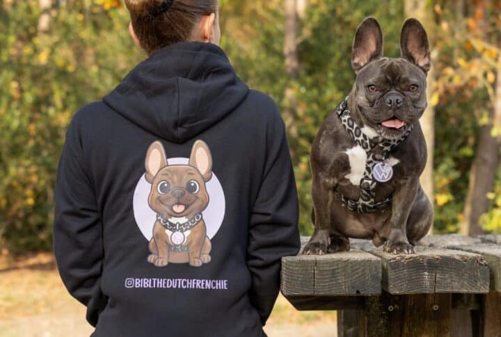 Cartoon hoodie