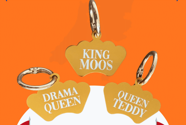 Koningsdag tag