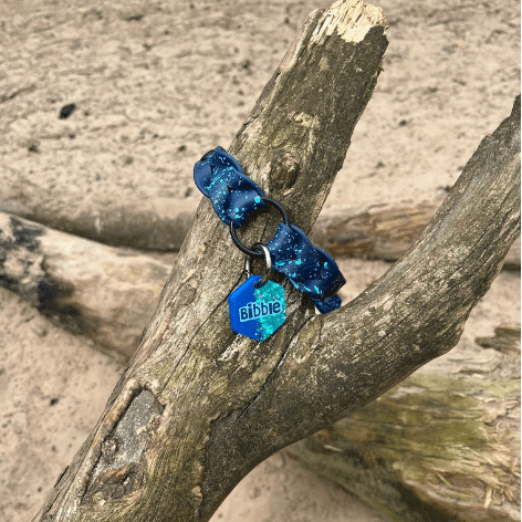 Gevlochten (ID collar) halsband met gesp
