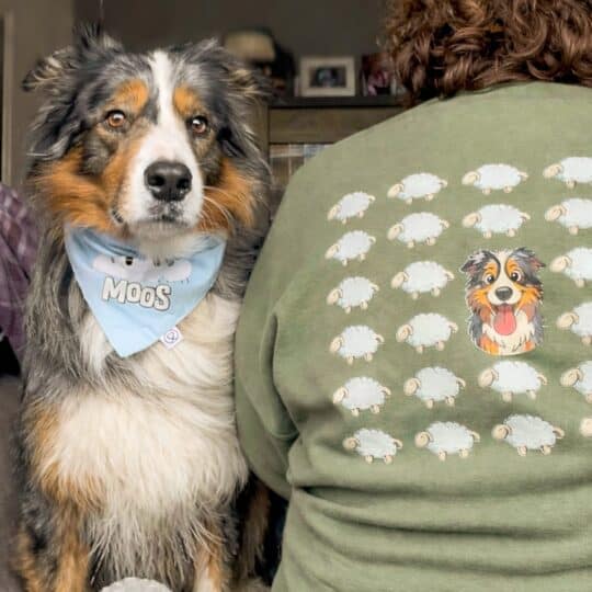 Ontwerp je eigen sweater DTF Print