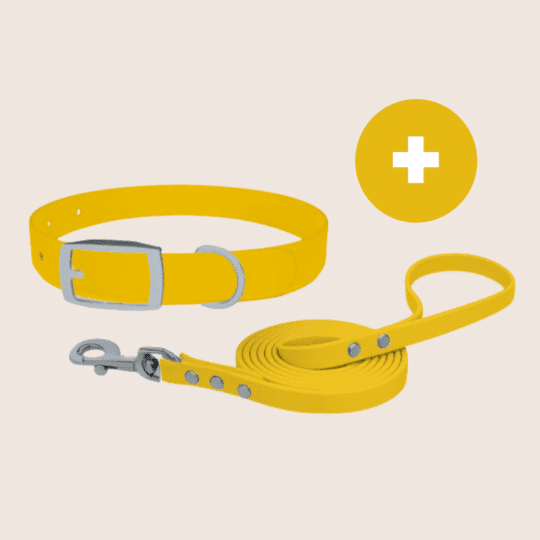 Bouw je eigen gesp halsband en lijn