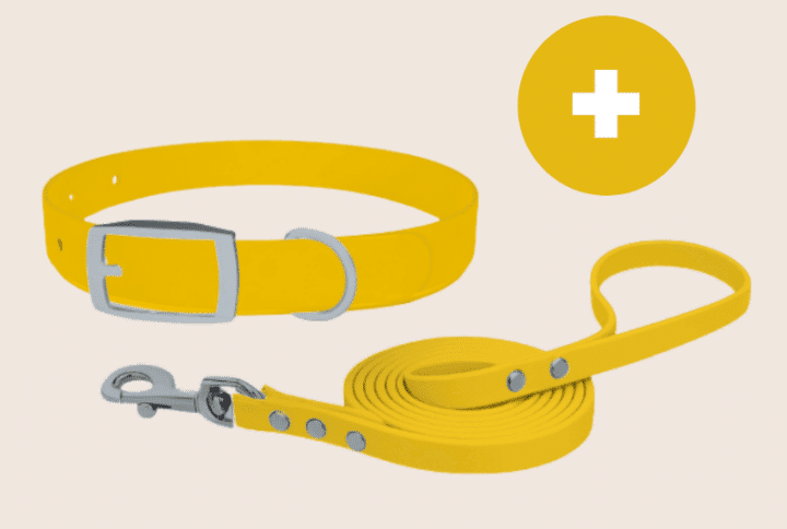 Bouw je eigen gesp halsband en lijn