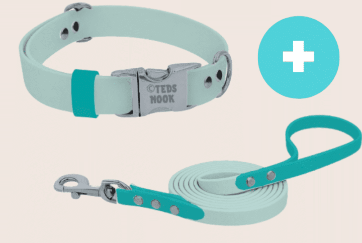 Bouw je eigen klik halsband en lijn