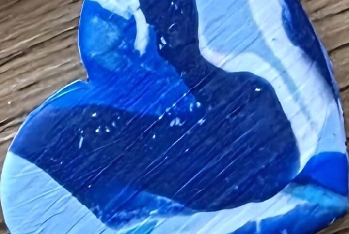 Blauwe tag nany