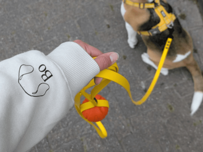 Hoodie - beagle mom - Bo