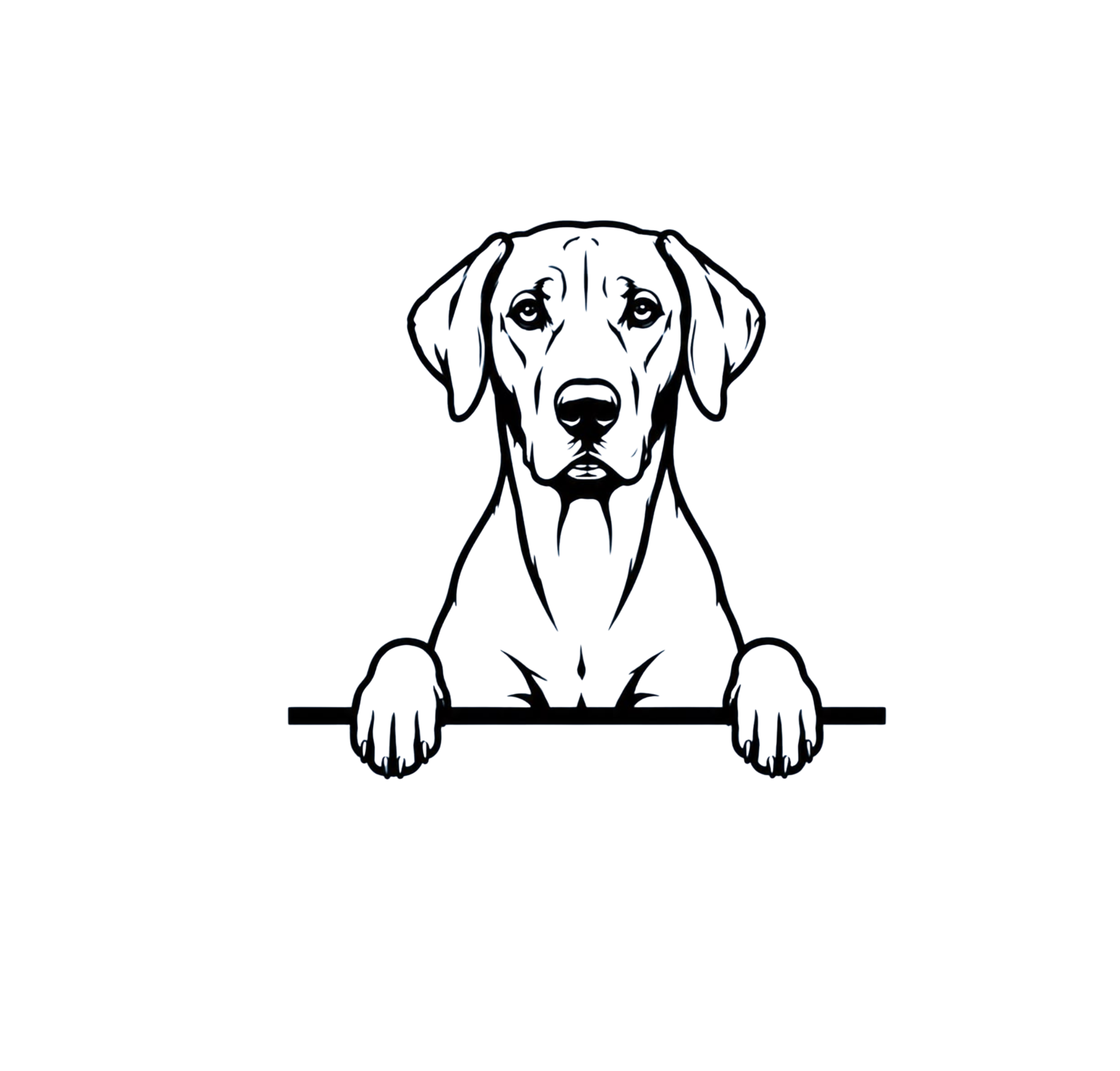 Ridgeback2