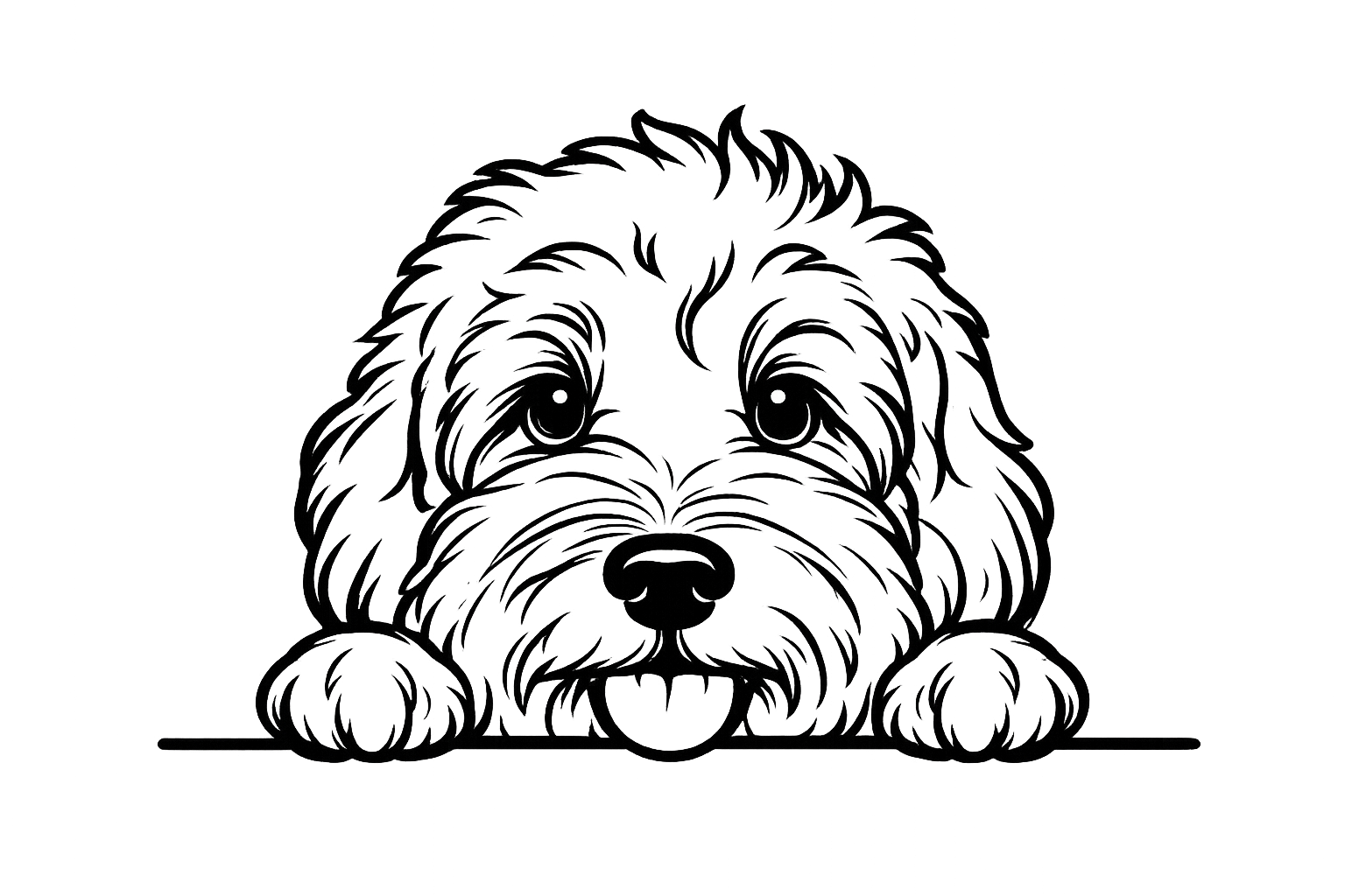 Australian Labradoodle Peeking